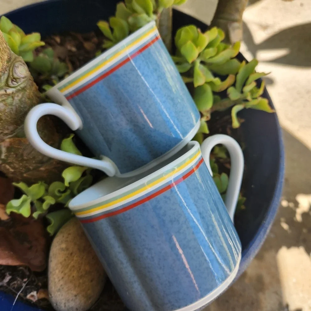 Villeroy & Boch  Switch 1 Beala Breakfast Cups Coffee Cups Set Of 2 Discontinued